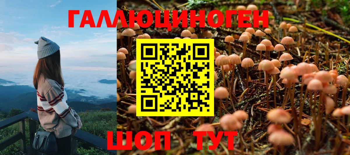 Галлюциногенные грибы Cubensis Апрелевка